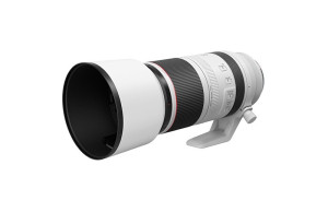 Canon RF 100-500mm f/4.5-7.1 L IS USM (prezzo €2769 dopo cashback)